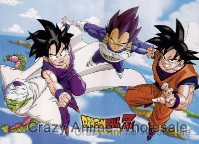 dragonball wallscroll(10 pcs)