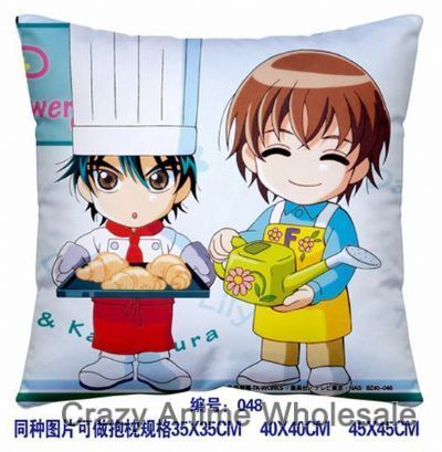 45*45cm Cushion