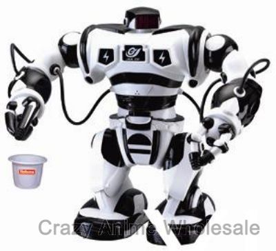 R/C simulation robot