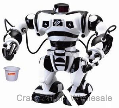 R/C simulation robot 