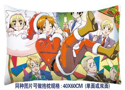 hetalia anime cushion