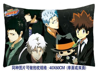 Hitman Reborn anime cushion