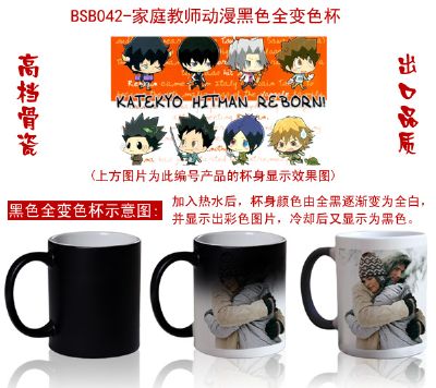 Hitman Reborn anime hot and cold color cup