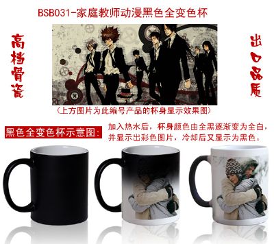 Hitman Reborn anime hot and cold color cup