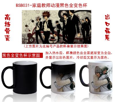 Hitman Reborn anime hot and cold color cup 