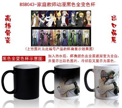 Hitman Reborn anime hot and cold color cup 