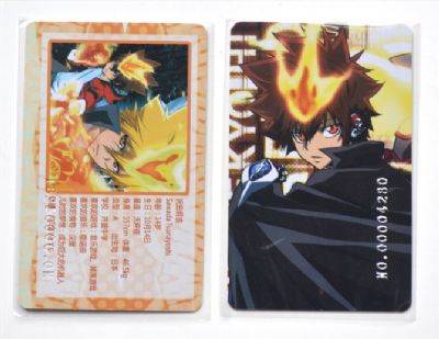 Hitman Reborn anime member cards