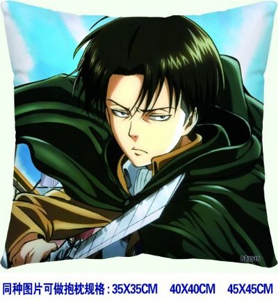 Attack on Titan anime cushion