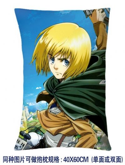 Attack on Titan anime cushion