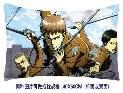 Attack on Titan anime cushion