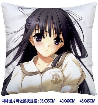 ainme cushion