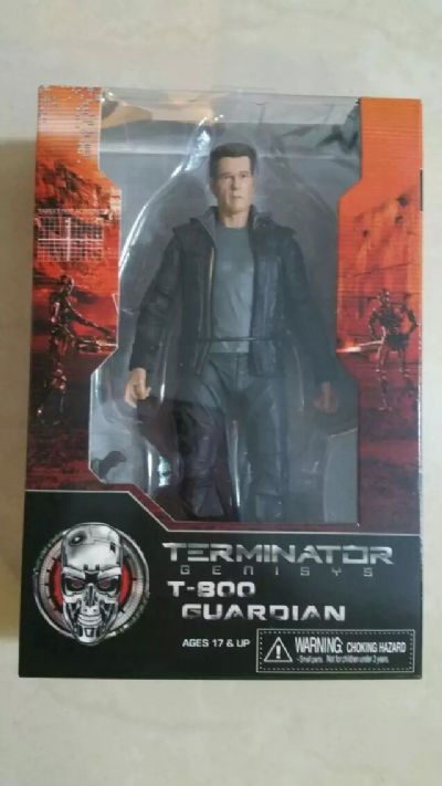 terminator figure