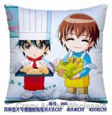 45*45cm Cushion