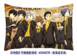 Hitman Reborn anime cushion