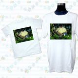 totoro anime t-shirt