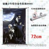 D.gray-man anime wallscroll