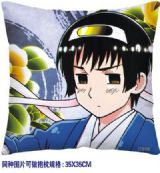 Hetalia Axis Powers anime cushion