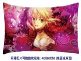 Fate Stay Night anime cushion