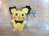 pokemon anime plush doll