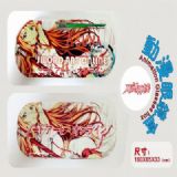 Sword Art Online Asuna Iron Glasses Boxes