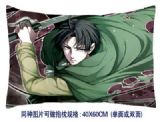 Attack on Titan anime cushion
