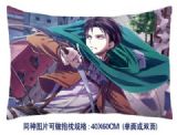 Attack on Titan anime cushion