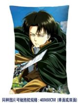 Attack on Titan anime cushion