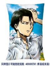Attack on Titan anime cushion