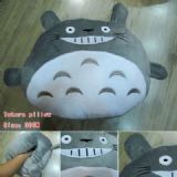 TOTORO pillow