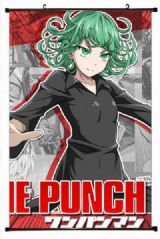 One Punch Man Plastic pole cloth painting Wall Scr