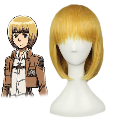 Attack on Titan Cosplay Wig 40cm