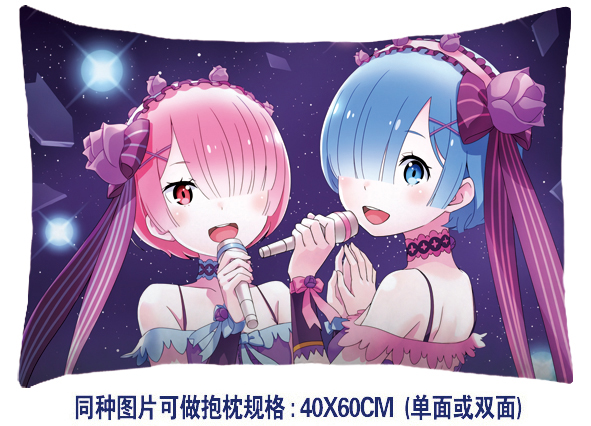 Re:Zero kara Hajimeru Isekatsu anime cushion 40*60cm