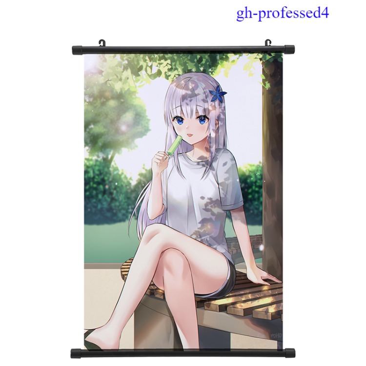 Professed anime wallscroll 60*90cm