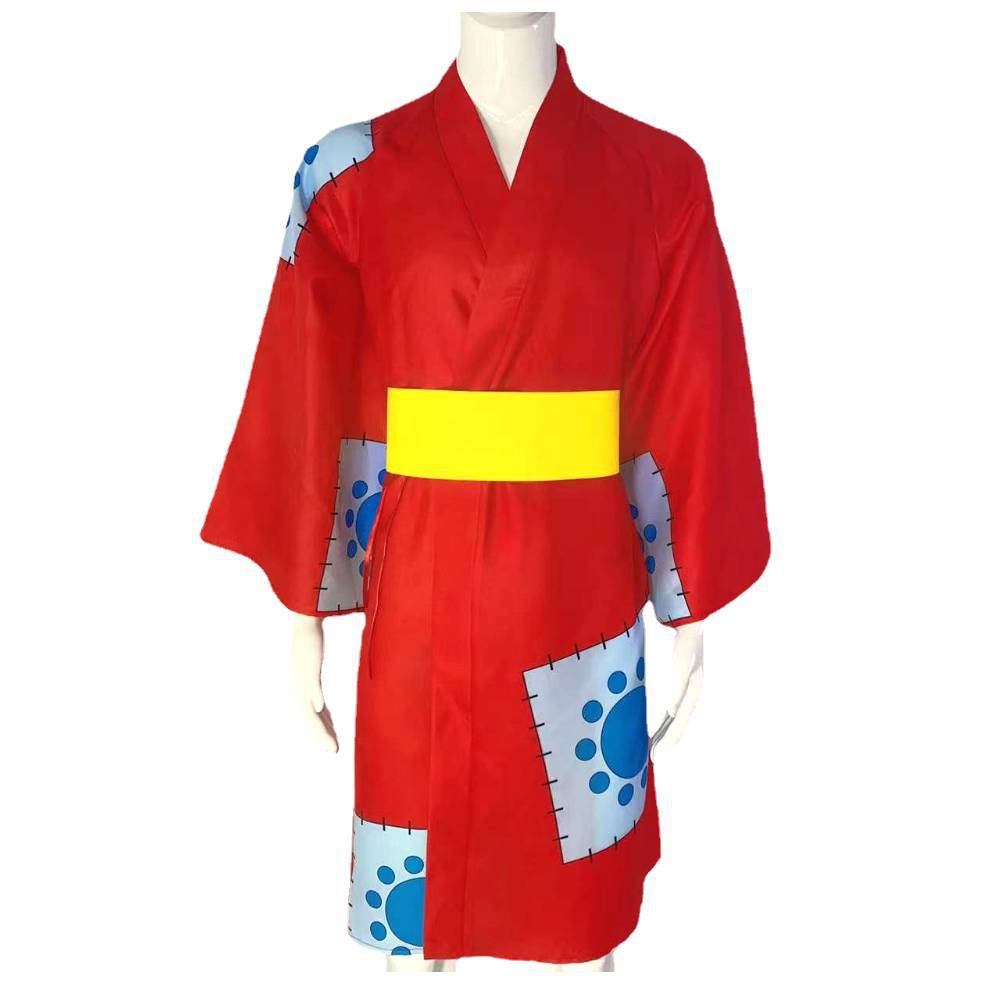 one piece anime cosplay costume