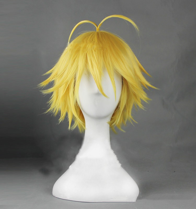 Seven Deadly Sins anime wig