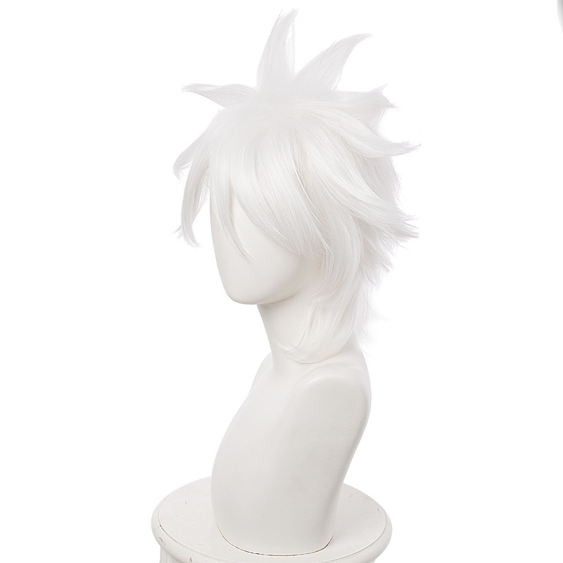 Fate anime wig