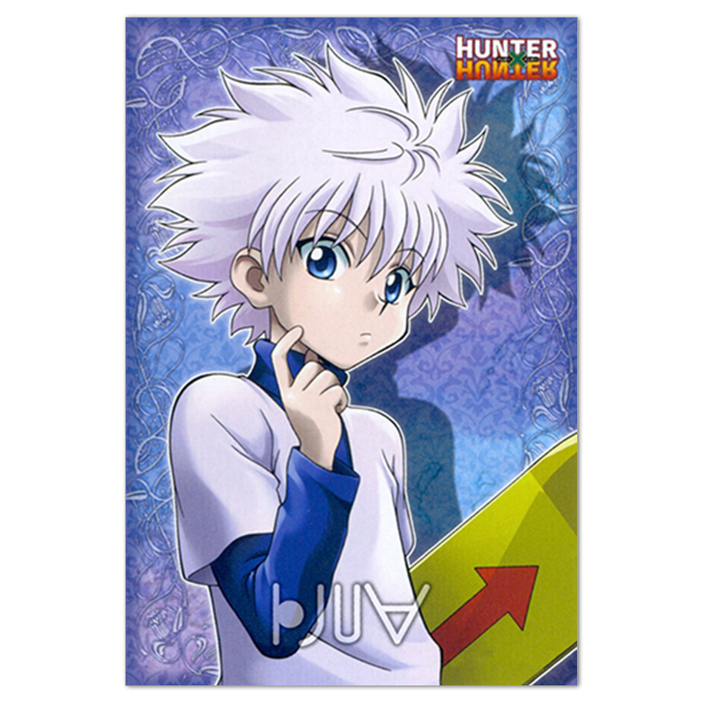 Hunter x Hunter anime painting 30x40cm(12x16inches)