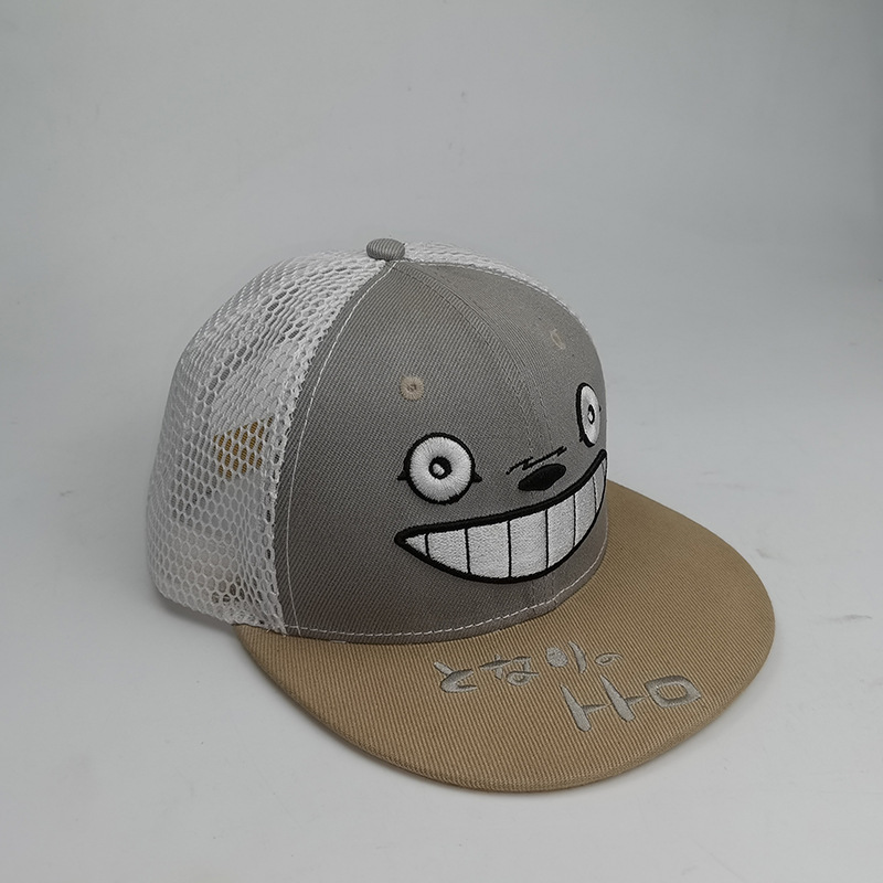 TOTORO anime cap