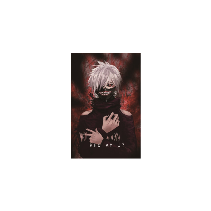 Tokyo Ghoul anime fabric poster 20*30cm