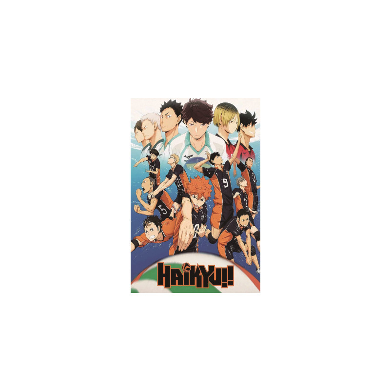 Haikyuu anime fabric poster 60*40cm