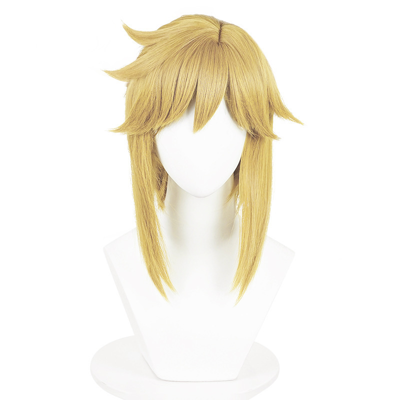 The Legend of Zelda anime wig