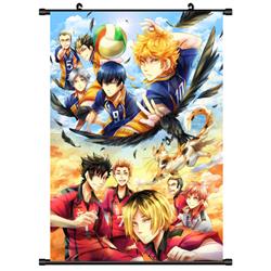 Haikyuu anime wallscroll 45*30cm