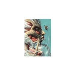 Attack On Titan anime fabric poster 42*30cm