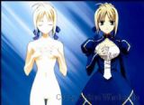 fate wallscroll(10 pcs)