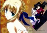 fate wallscroll(10 pcs)