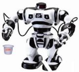 R/C simulation robot 