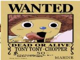 One Piece anime mousepad