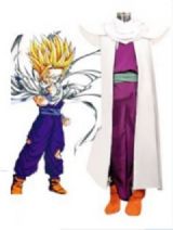 dragon ball anime cosplay dress