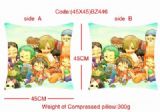 One Piece Double Sides Cushion