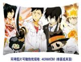 Gintama anime cushion